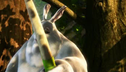Big Buck Bunny