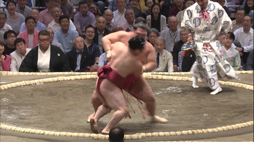 Sumo Sample Fight